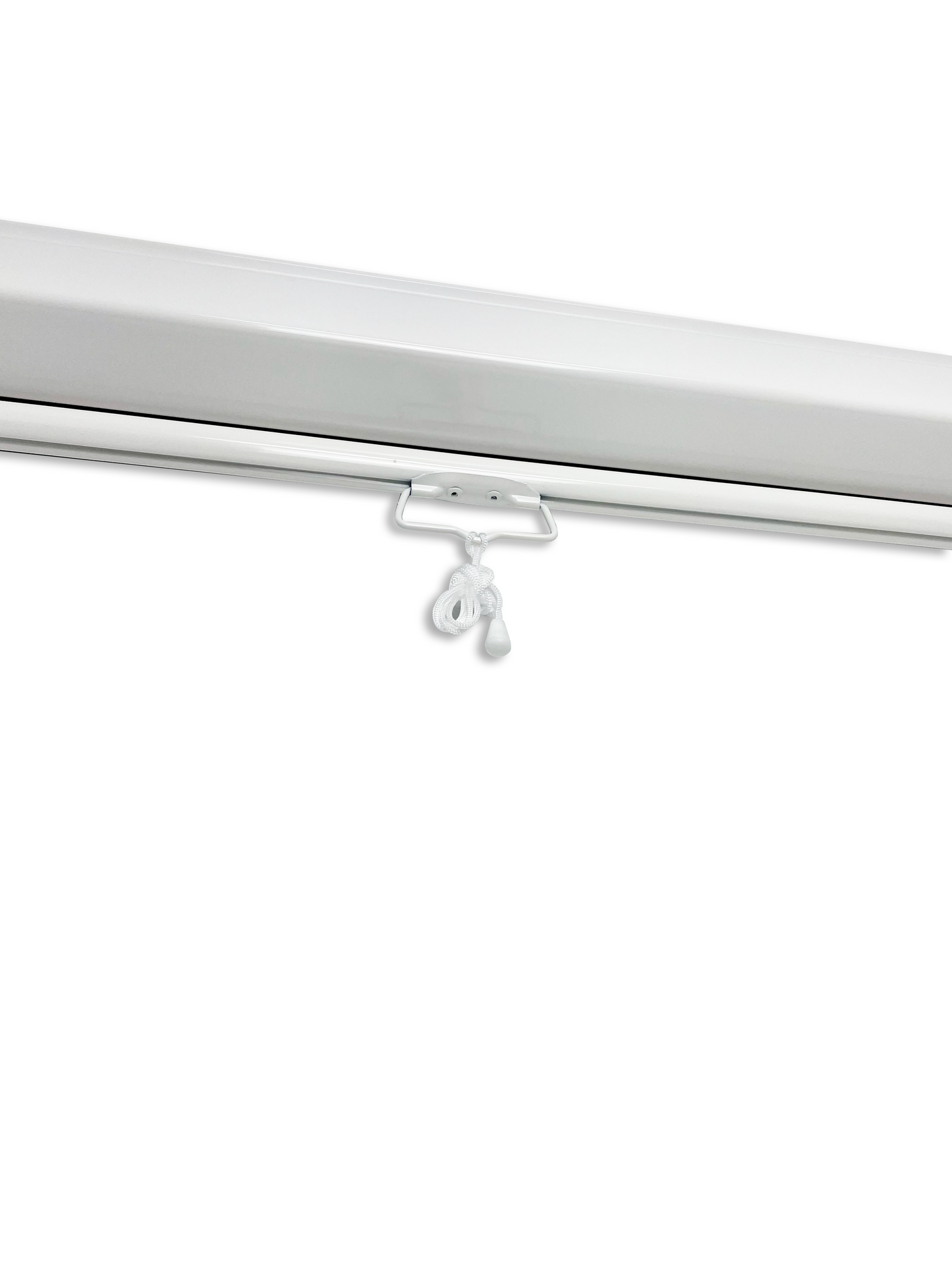 Telon Mural Dinon 1,80 x 1,80 Metros con SLR* (100" Diagonal) 1:1 - sku: 12239