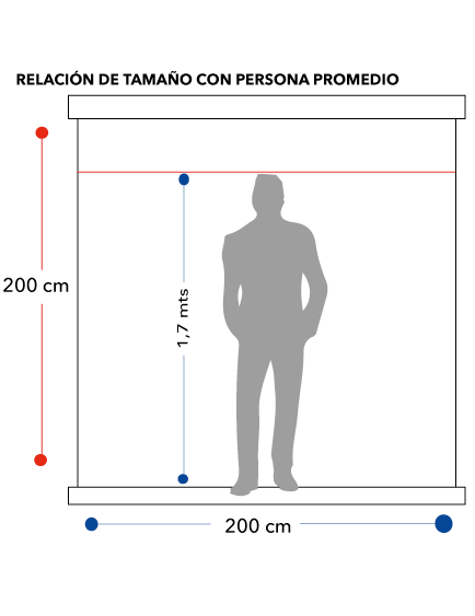 Medidas del telón mural manual Dinon de 112 pulgadas con motor silencioso SLR comparado con persona promedio