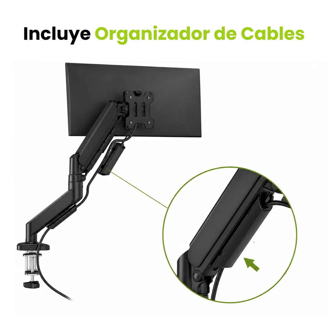 Soporte de monitor brazo Dinon con organizador de cables