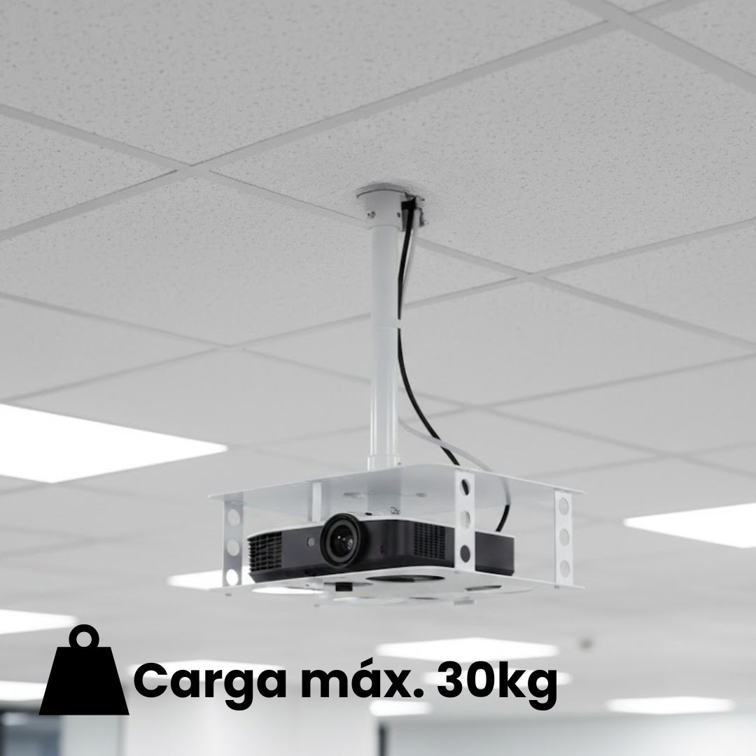 Soporte para techo tipo jaula con una carga máxima de 30 kilos. 