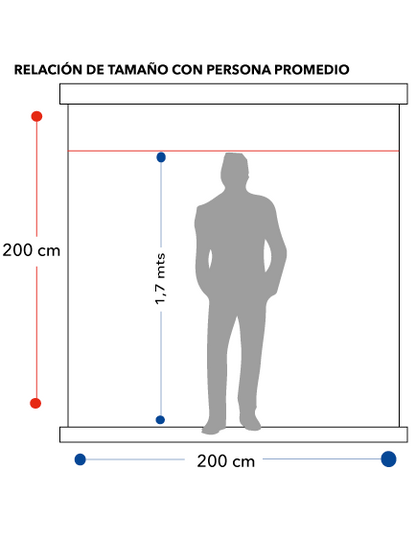 Medidas del telón mural manual Dinon de 112 pulgadas con motor silencioso SLR comparado con persona promedio